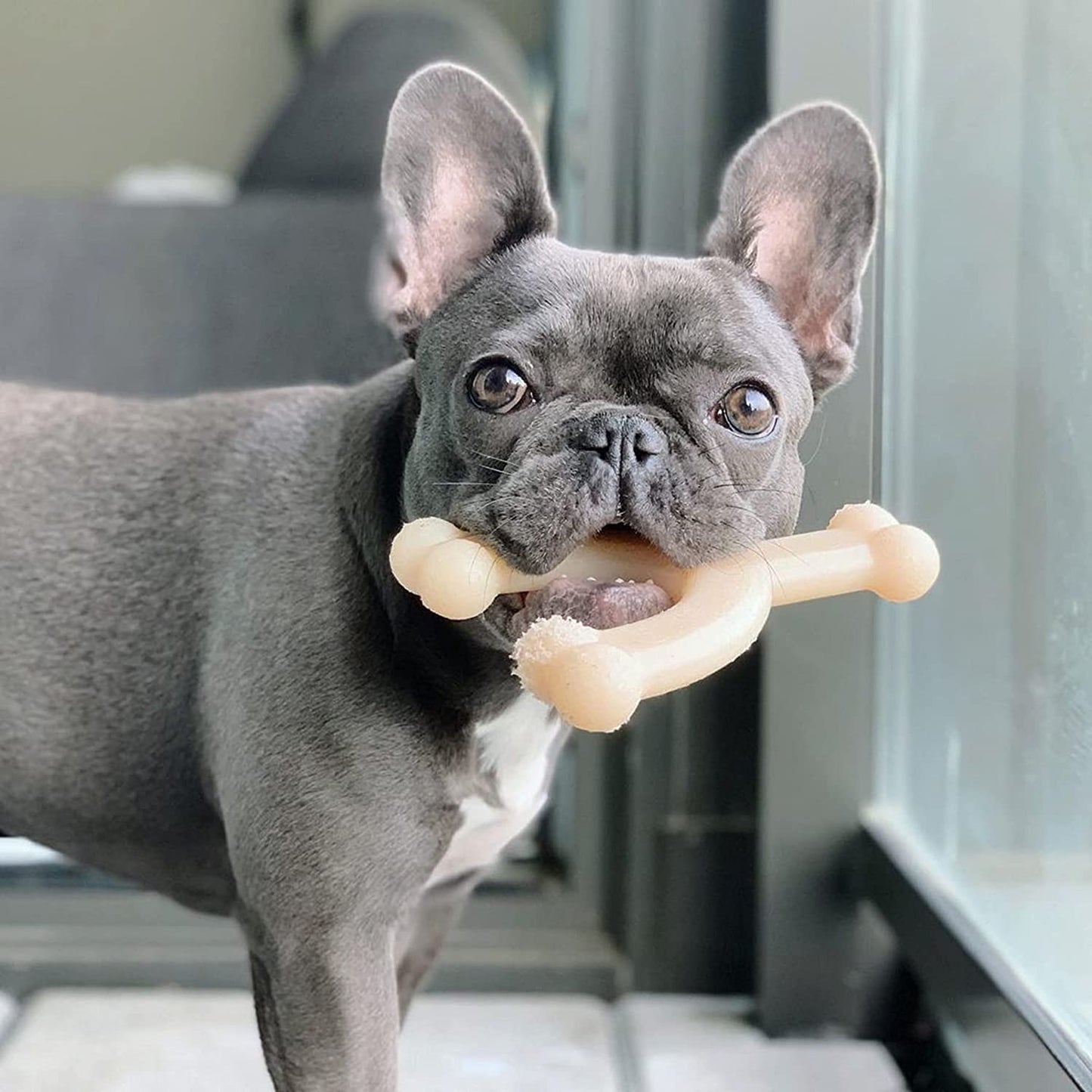 Ultimate Power Chew Dog Toy Bundle for Medium Dogs - 3 Delicious Flavors & Engaging Textures